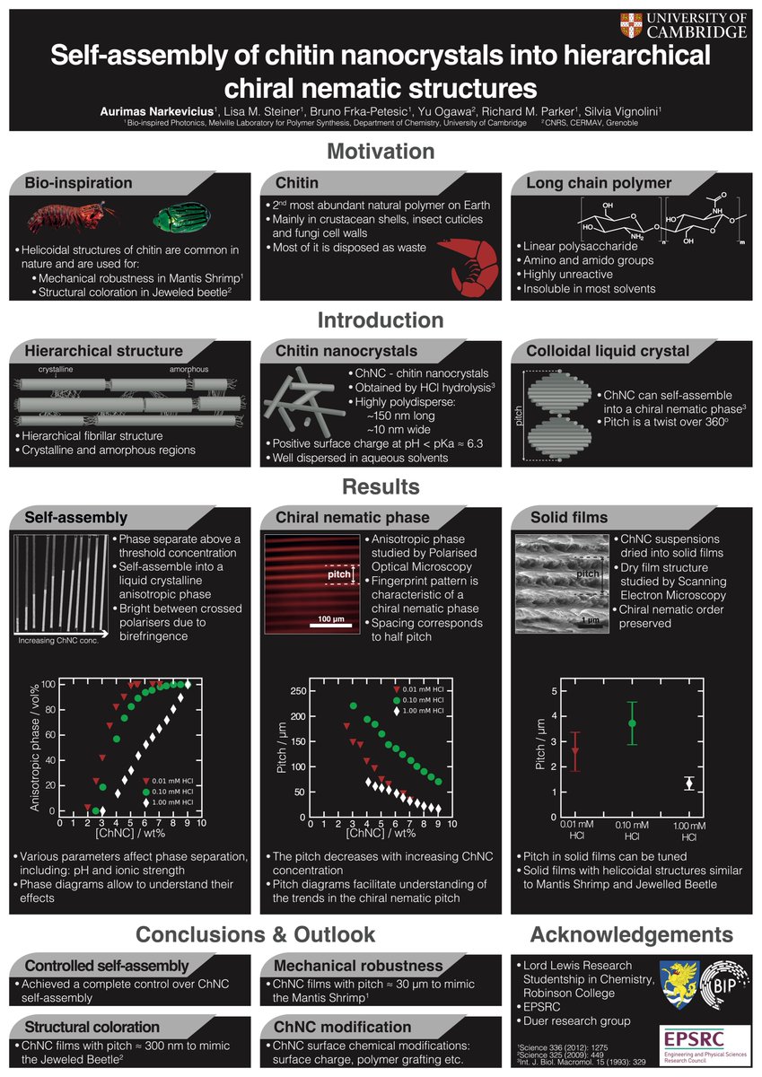 There's still much-room for research on chitin. It's shrimply crabdivating! #RSCPoster #RSCPoster2020 #RSCMat #RSCPhys #RSCEnv