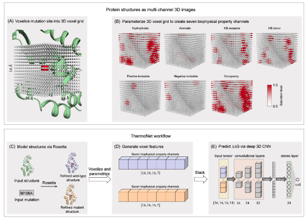 KevinKaichuang's tweet photo. Augmenting point mutation stability datasets with the "reverse mutation" leads to better predictions of stabilizing mutations. Cool paper by @computbiolgeek, Yucheng T. Yang @capra_lab @MarkGerstein 

https://t.co/4OjBTQgLKf https://t.co/0zHtlsd4l0