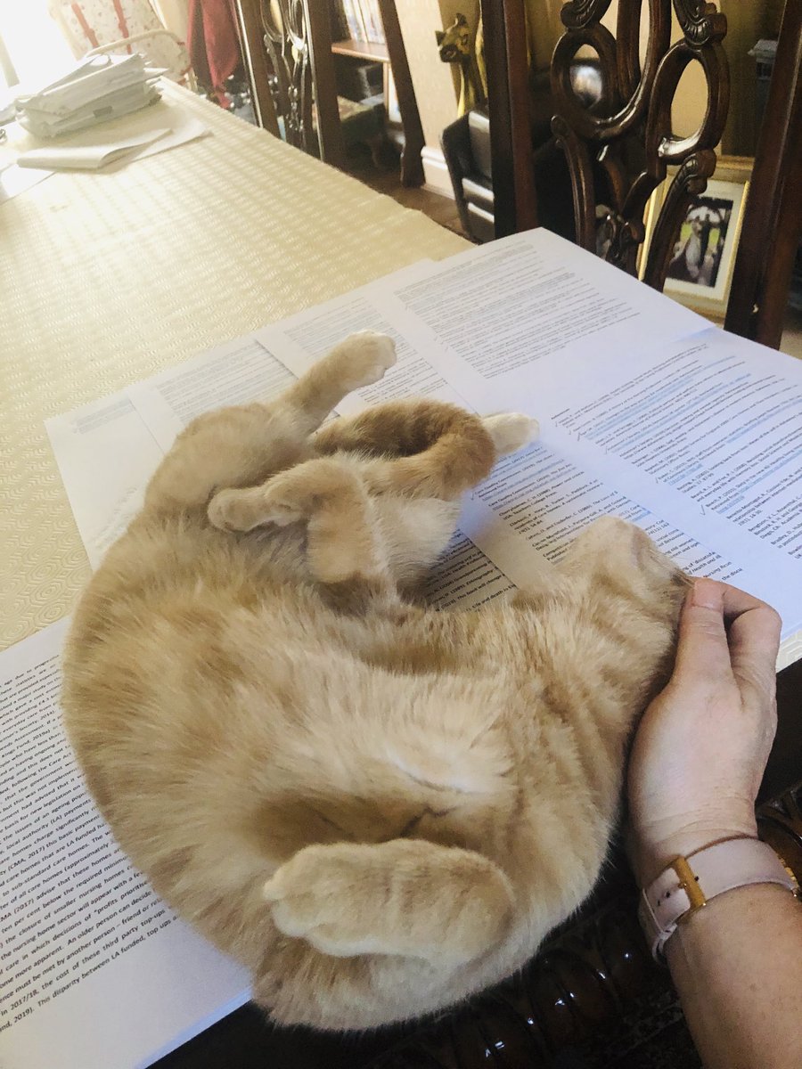 mansfieldloynes's tweet photo. Trying to do some interim copy editing. 78 pages.... currently on page 4 #thesiswriting #catsonstuff ⁦@UoC_NA⁩ 🤣 https://t.co/YSkTyUBTMG