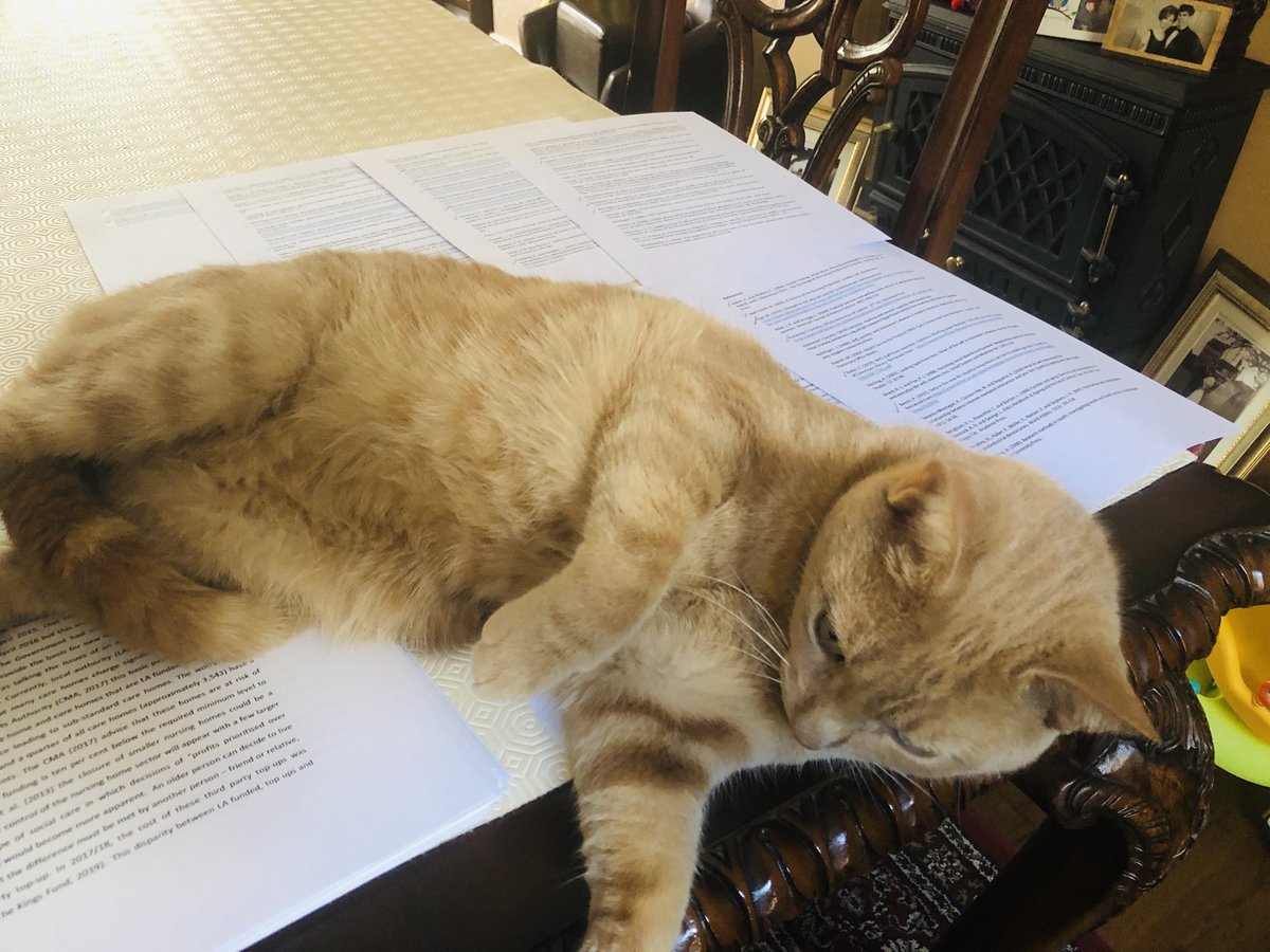 mansfieldloynes's tweet photo. Trying to do some interim copy editing. 78 pages.... currently on page 4 #thesiswriting #catsonstuff ⁦@UoC_NA⁩ 🤣 https://t.co/YSkTyUBTMG