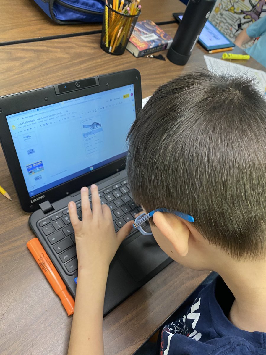 kcross34's tweet photo. My 5th grade GT students are researching and filling out their #2020MMM bracket! They’re big fans of the house cat. 😿 #CrossChronicles #notacatfan #teambestpanda https://t.co/CkpdlkGQJd