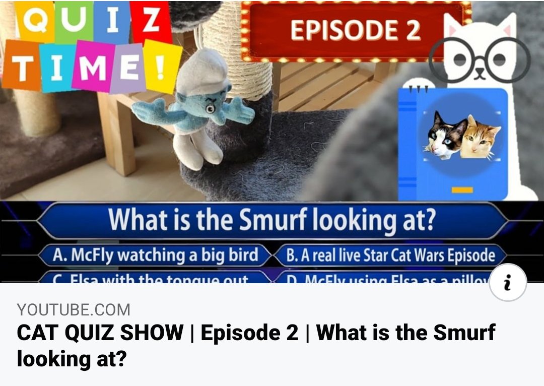mcflyelsa's tweet photo. PLAY cat quizz 😻✔️
.
👉 https://t.co/BOsC5UUKlc
.
.
.
#CatsOfTwitter #Caturday #smurfs #quizz https://t.co/HPIW8lEUbQ