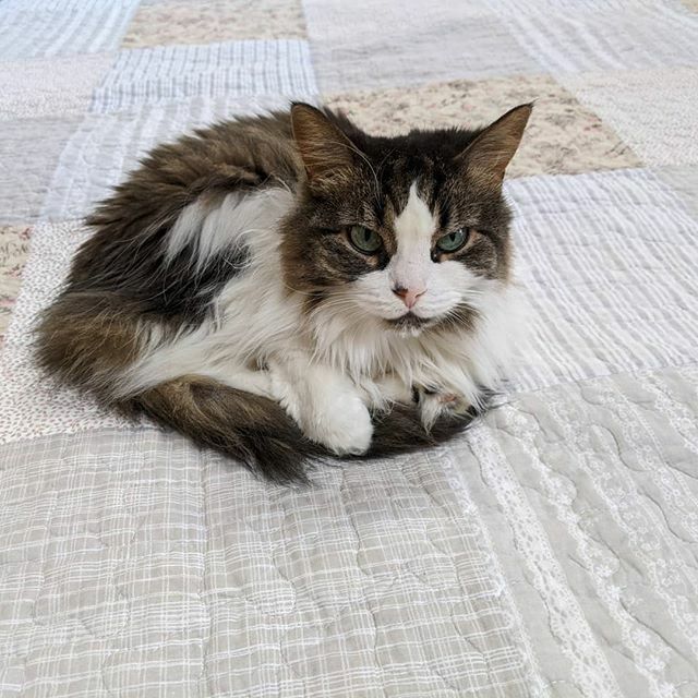 Sandy Hogan tweet media