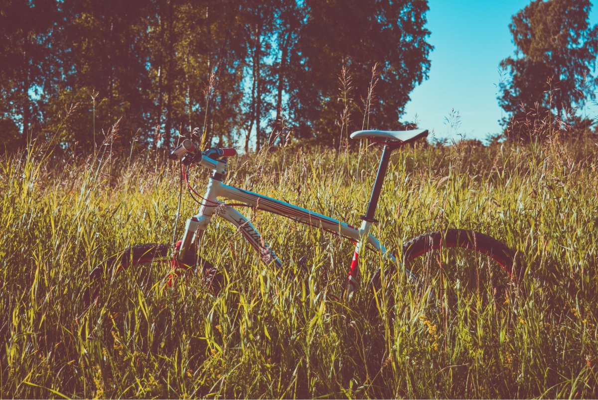 OakHall's tweet photo. Some of our most loved events at the manor are our walking & cycling long weekends. Come out to Kent for a few days and admire God's creation by foot or by bike! Find out more: https://t.co/MEwqR4R6al #kent #cycling #kentlife #kentcycle https://t.co/HaEvwEvPOQ