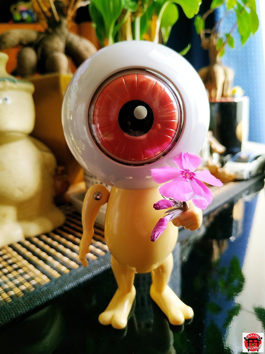 ArakakiK tweet picture