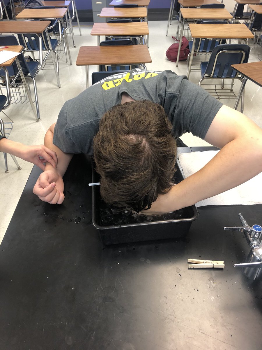 lawsonsclassmhs's tweet photo. Mammalian diving reflex lab! That pulse rate dropped like a rock. https://t.co/WSvXWpp6sw