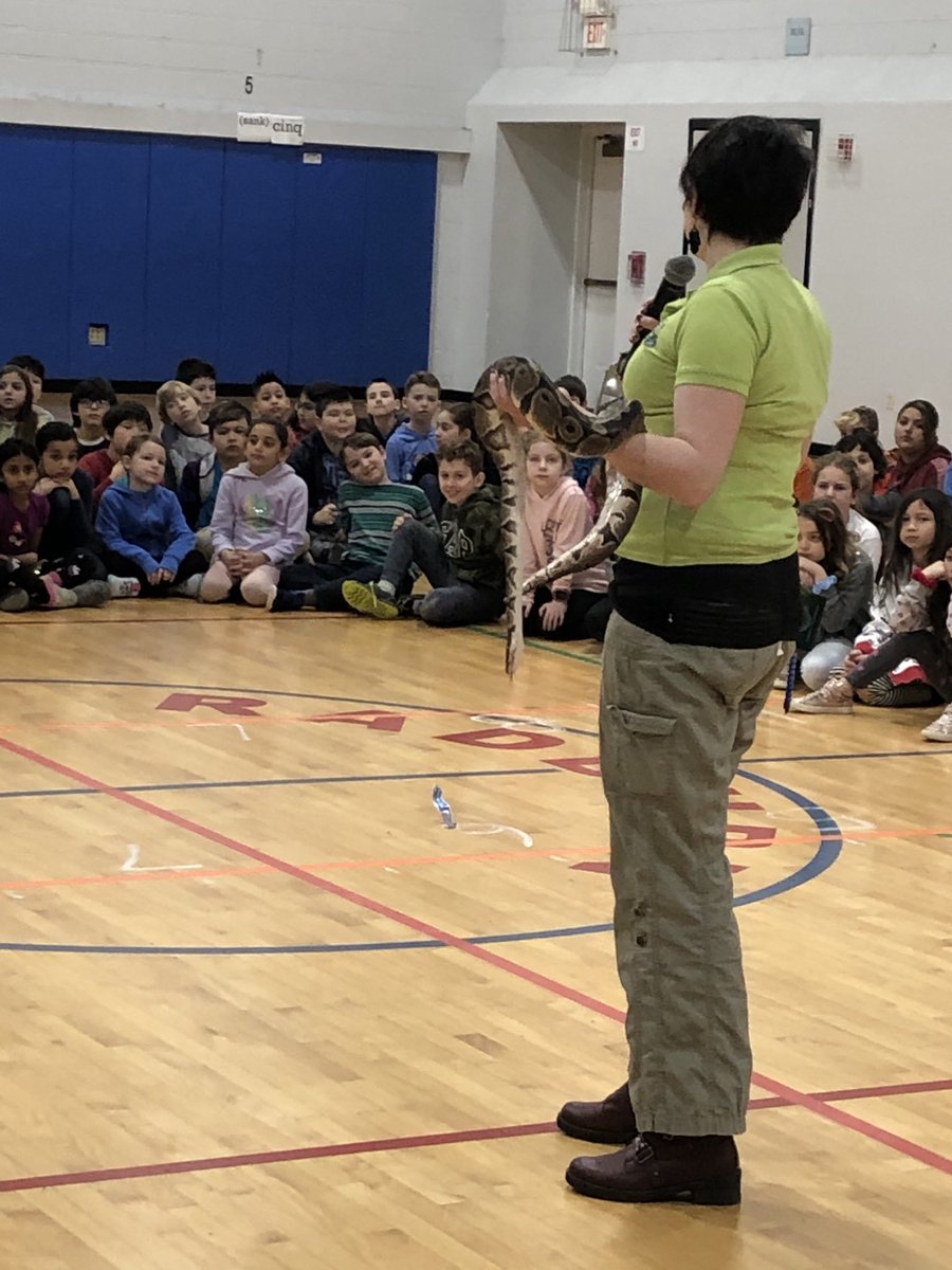 RadburnSchool's tweet photo. Turtle Back Zoo visits Radburn! It was a great hands on experience with turtles, snakes AND a Penguin! #RadburnEagles #FairLawnSchools https://t.co/qsHUX7CAcX