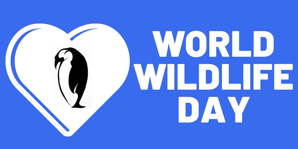 Duffield Harrison LLP tweet media