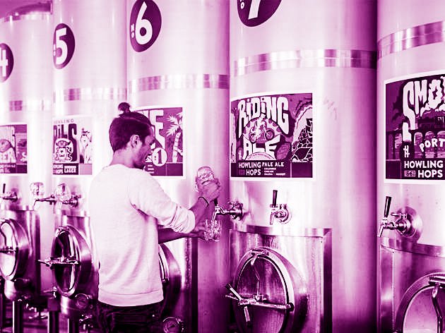 TiPJAR_tweets's tweet photo. @HowlingHops has joined the #TiPJARtribe! Now you can cashlessly tip the amazing people behind the bar pouring those delicious brews straight from the tanks. π» https://t.co/44Ib8G37GV