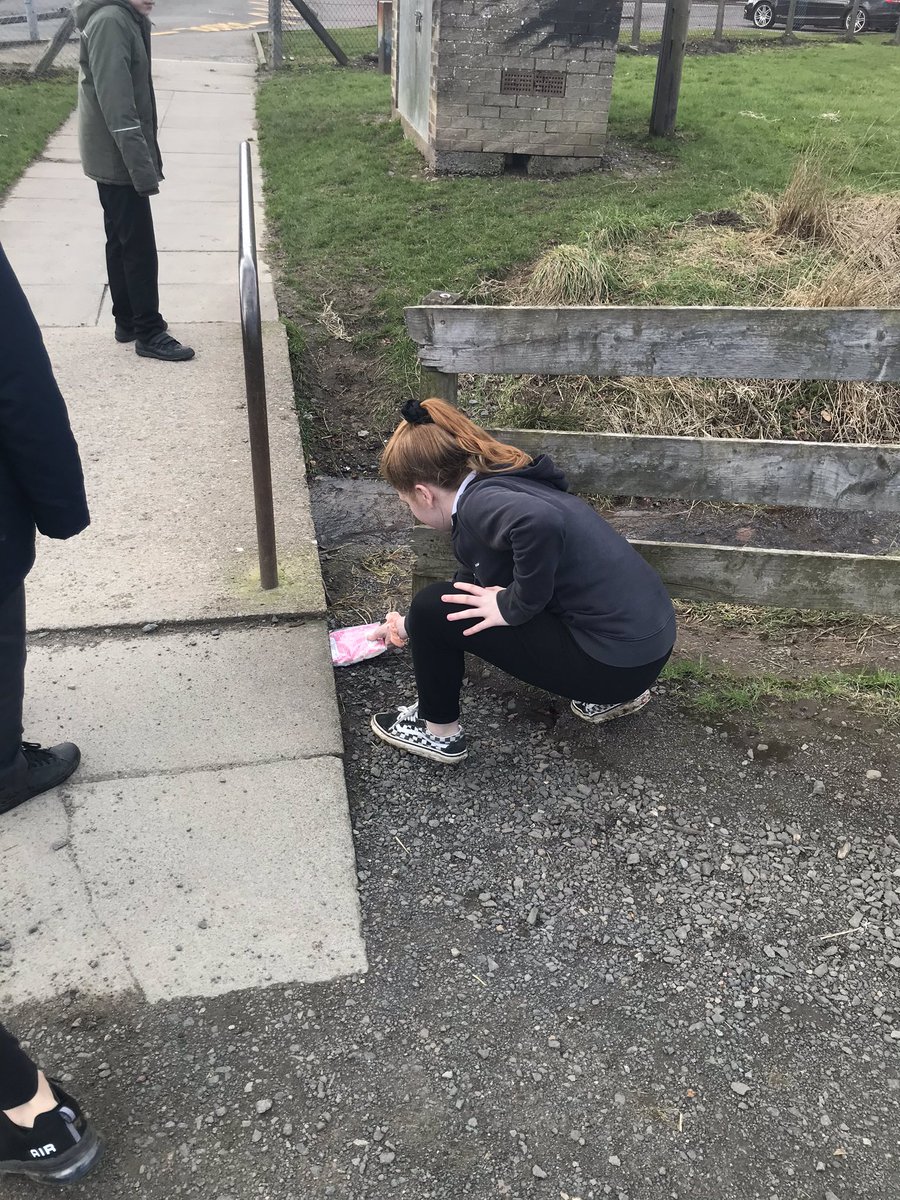 tillyps's tweet photo. Primary 7C have been busy hiding books this afternoon as part of our #bookfestival. If you find one please tweet us so we can follow the book on its journey! #lookforabookscotland https://t.co/SrTH1mstUA