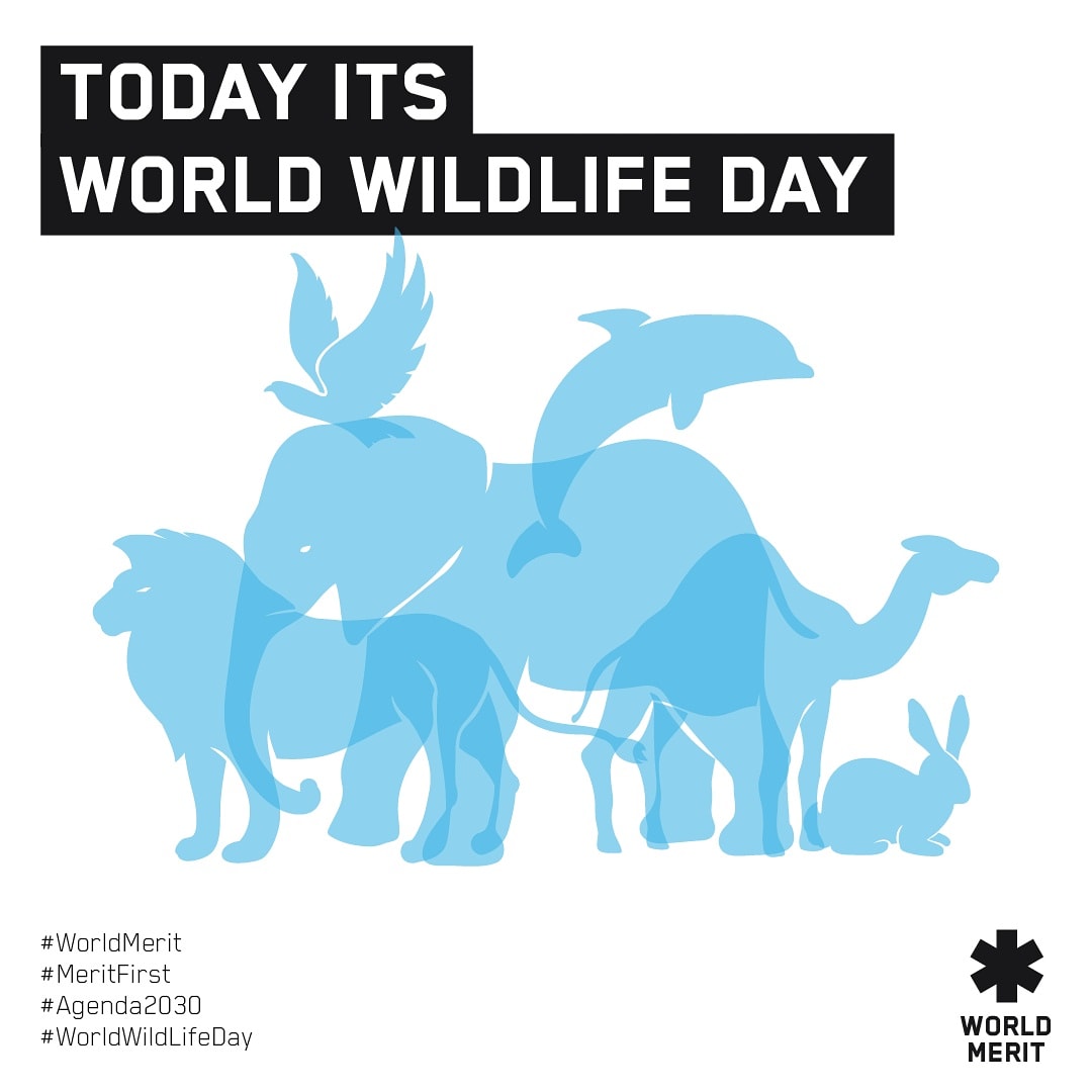 World Wildlife Day! 🌍

WWD highlights the interconnectedness of the SDGs find out more about why wildlife is so important to achieving the SDGs at ⬇️

wildlifeday.org

#meritfirstwildlife to show us what youre doing for WWD 📷

#MeritFirst #WorldMerit #worldwildlife