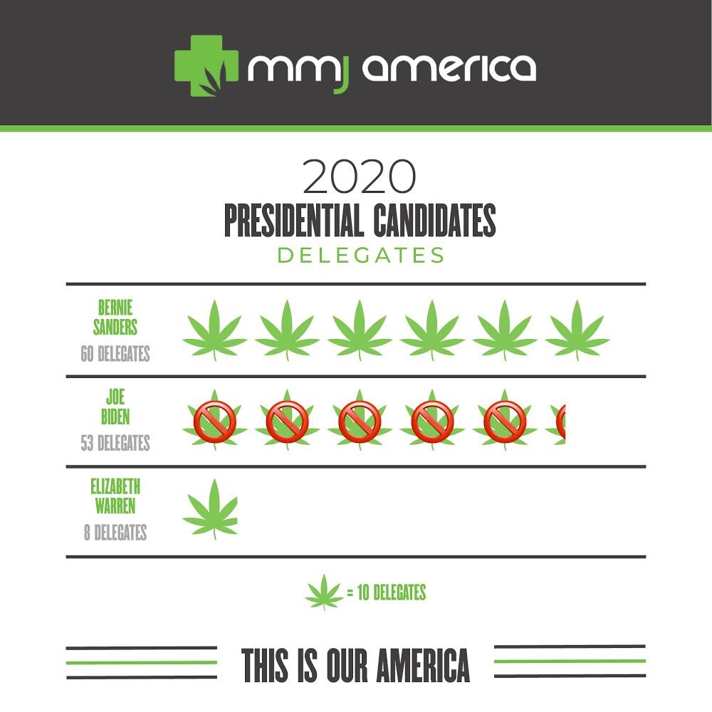 MMJ America tweet media