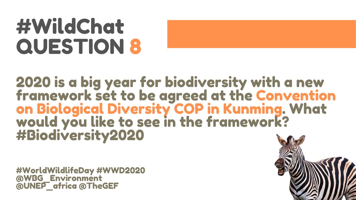 WBG_Environment's tweet photo. #WildChat Q8
2020 is a big year for biodiversity with a new framework set to be agreed at the Convention on Biological Diversity COP in Kunming. What would you like to see in the framework?
#Biodiversity2020 https://t.co/xAeE3g1NJ3
