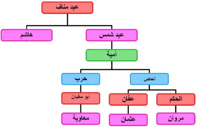 تنسب الدولة الأموية أمية بن عبد شمس من قبيلة قريش