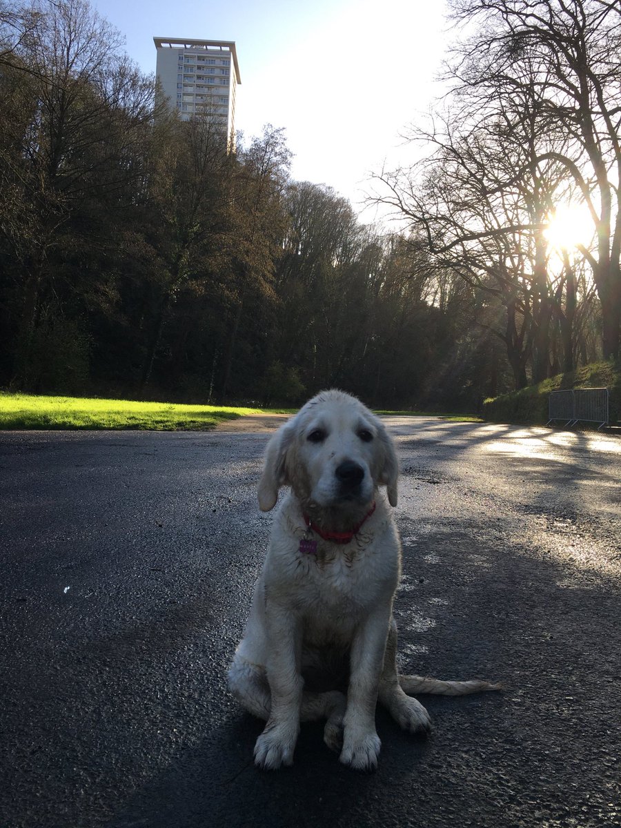 bertrandrault's tweet photo. #municipale2020 #saintbrieuc Central Parc au cœur de la ville. Le bonheur simple. ⁦@VilledeStBrieuc⁩ ⁦@StBrieucAgglo⁩ https://t.co/ipOTZaum8x
