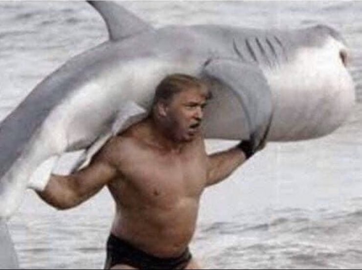 This is my president <a href="/realDonaldTrump/">Donald J. Trump</a>