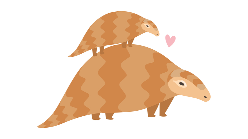 theGEF's tweet photo. A7. The world's most trafficked animal - #pangolin is our favorite! #DYK that pangolin pups hitch a ride on their motherβs tails for 3 months and remain in their motherβs care for 5 months before braving life solo? https://t.co/XTX7Rdi3Dz #wildchat https://t.co/74QI3WwT1i