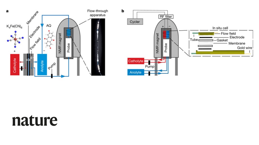 NaturePortfolio's tweet photo. A technique based on the principles of MRI has allowed researchers to observe not only how next-generation batteries for large-scale energy storage work, but also how they fail. Their findings are reported in Nature. https://t.co/W6HJlG8lVr https://t.co/niamgagBrj