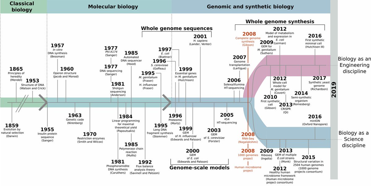 (image by Jean-Christophe Lachance, et al, lnkd.in/eMNrYaS )

There are still unfinished discussions about what exact event can be pinpointed as the beginning of synthetic biology. Here we listed up some major landmarks in the history of synthetic biology.