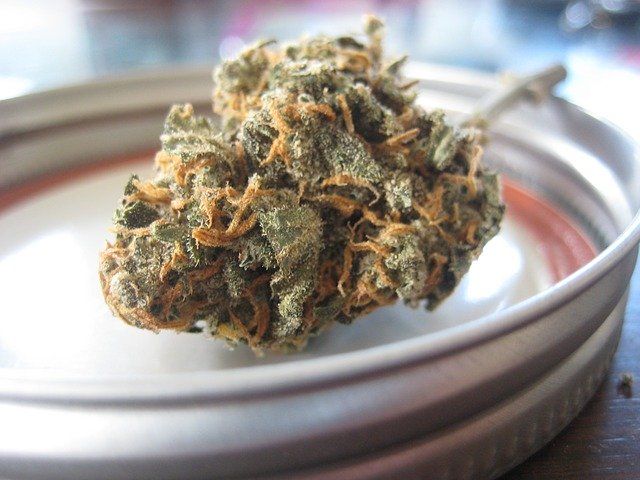 gscreenldn's tweet photo. A growing body of evidence shows that marijuana use does wonders for chronic pain management associated with several diseases... https://t.co/ubk6ARwss0 #cbd #health https://t.co/37GFknNqu4