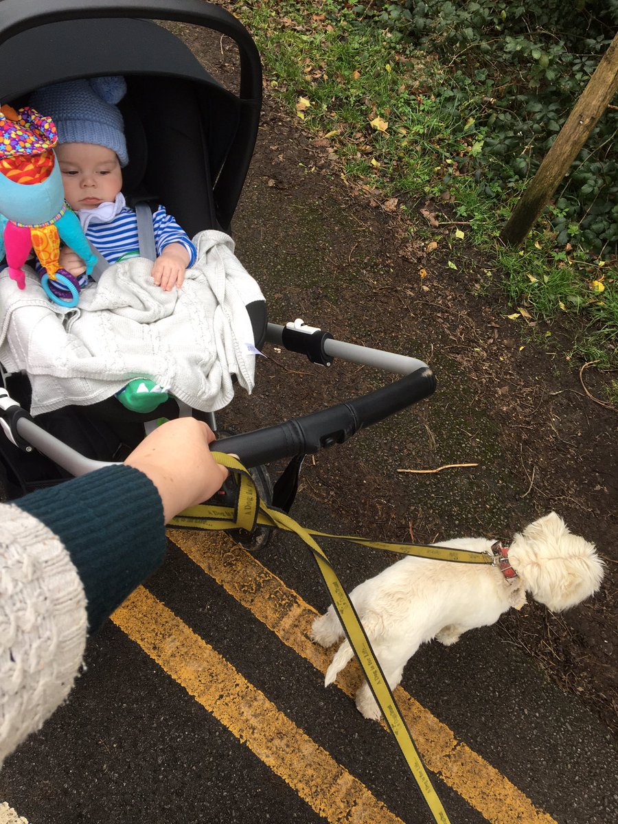 BusterWatches's tweet photo. Let’s go walkies #busterwatches #babybrother https://t.co/02ajsVM2Wv
