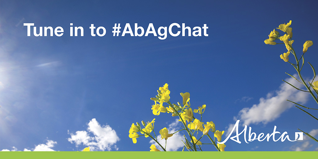 AlbertaAg's tweet photo. Today's #abagchat will feature Jennifer Lang-Gorman, AF's agrometeorological technologist. She'll be on hand to share info and answer questions about the Alberta Climate Information Service and more. Tune in at 10! #abag #abwx https://t.co/W8DeYHFXik