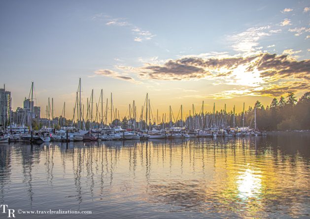 travelrealize's tweet photo. Vancouver greeted us with a marvelous moonshine. If Vancouver had been a man then he could have felt the silent applause of my eyes. https://t.co/xyUwvTpMTb 💖
#Travel #Exploreanada #wanderer #wanderlust #Travelbug #prettycity #Travelphotography #Travelstory #Traveltips #trlt https://t.co/X4LeYn7IB9