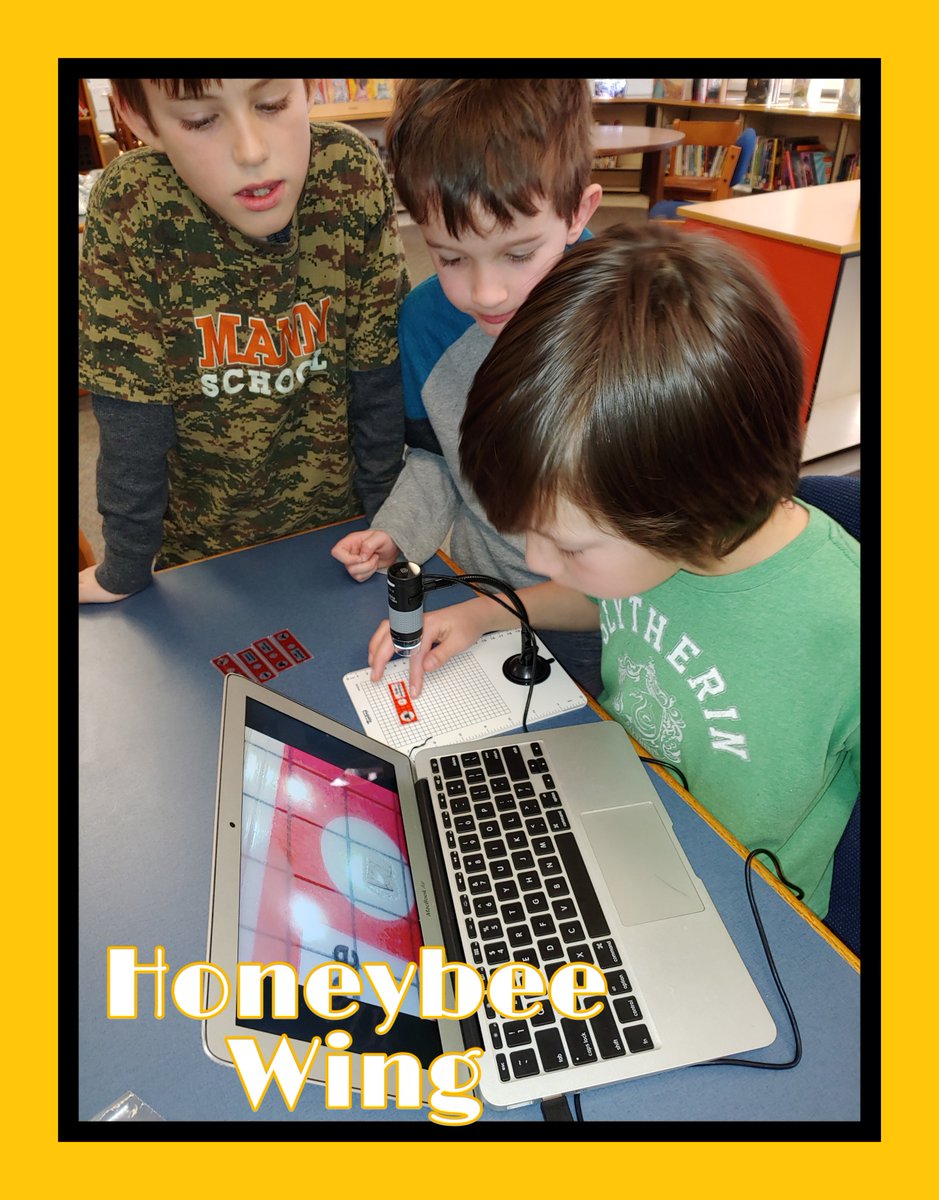 MannLibrary's tweet photo. 2nd grade &amp; Insects. Looking at a honeybee wing and other insect anatomy after reading Crickwing byJanell Cannon. #oakpark97, #libraries97, #mannschool, #weared97 https://t.co/ULv6qP1Lxn