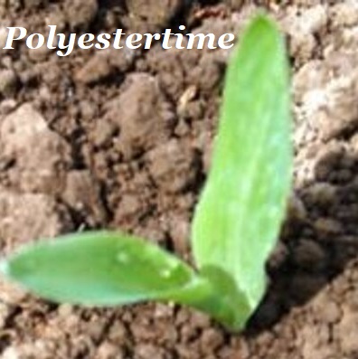 Polyestertime's tweet image. Today on #Polyestertime tinyurl.com/sxak2ek) you can read:

-#MMFsector expected to attract more investments

-#Biofuel From #Microorganisms

-#Danone aims for 100 per cent #rPET in #Europeanwaterbottles