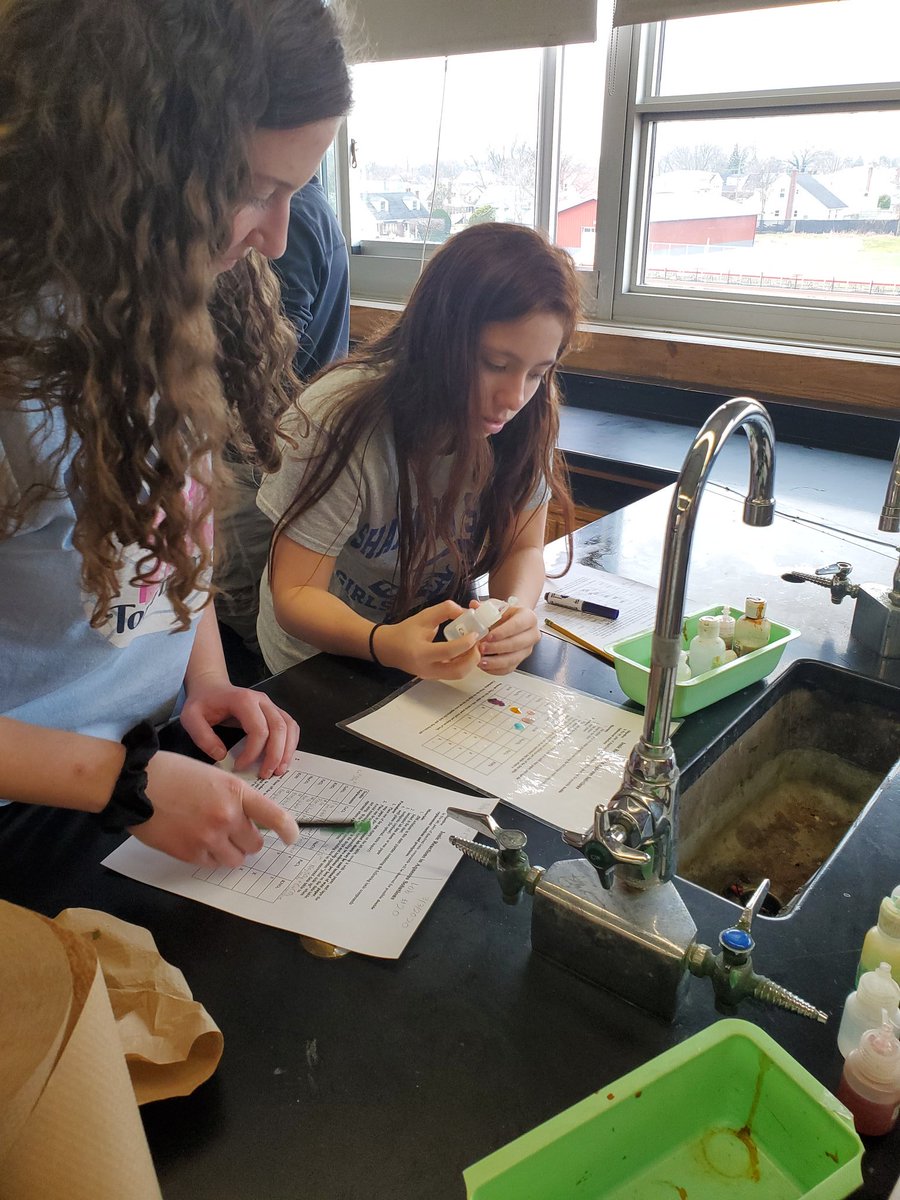 mrsadamski1's tweet photo. #Todayinchemistryclass students made predictions about which reactions would form a precipitate then tested their predictions by mixing the solutions. #mineolascience #solubility https://t.co/AS3X1Lc3G0