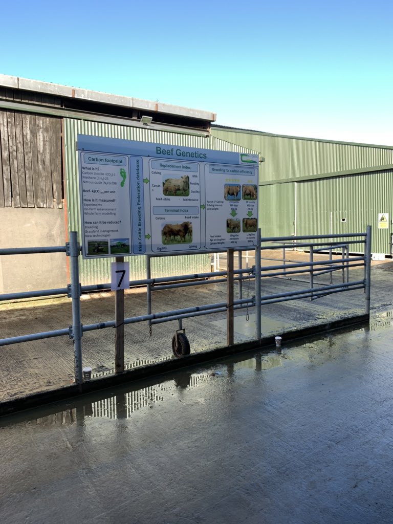 GreenBreed (@greenbreeddafm) on Twitter photo Some members of <a href="/GreenBreedDAFM/">GreenBreed</a> at <a href="/teagasc/">Teagasc</a> Moorepark got involved with the <a href="/AgriAware/">Agri Aware</a> #FarmWalk2020 and presented some insights into breeding environmentally efficient beef and dairy cattle to secondary school students <a href="/HerdPlus/">ICBF</a> <a href="/CIT_ie/">CIT is now MTU - Munster Technological University</a> <a href="/WIT_Research/">WIT-RESEARCH</a> <a href="/ucdagfood/">UCD School Ag & Food</a> Some members of <a href="/GreenBreedDAFM/">GreenBreed</a> at <a href="/teagasc/">Teagasc</a> Moorepark got involved with the <a href="/AgriAware/">Agri Aware</a> #FarmWalk2020 and presented some insights into breeding environmentally efficient beef and dairy cattle to secondary school students <a href="/HerdPlus/">ICBF</a> <a href="/CIT_ie/">CIT is now MTU - Munster Technological University</a> <a href="/WIT_Research/">WIT-RESEARCH</a> <a href="/ucdagfood/">UCD School Ag & Food</a>