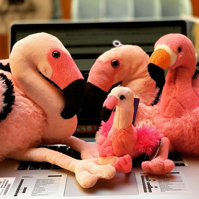 giant flamingo teddy