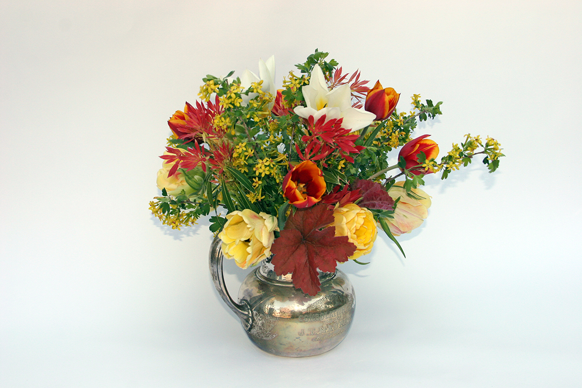 GardenComms's tweet photo. It's the spring equinox!  Ways to celebrate the #firstdayofspring: buy some seeds to grow, give a stranger some spring flowers, visit a park or garden, plan a new garden. #gardenstrong https://t.co/idLY5jGshv