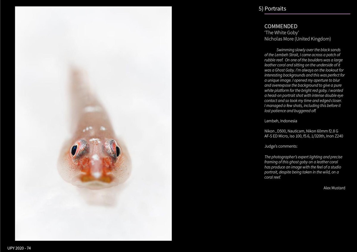 ChurchHouseDental tweet media