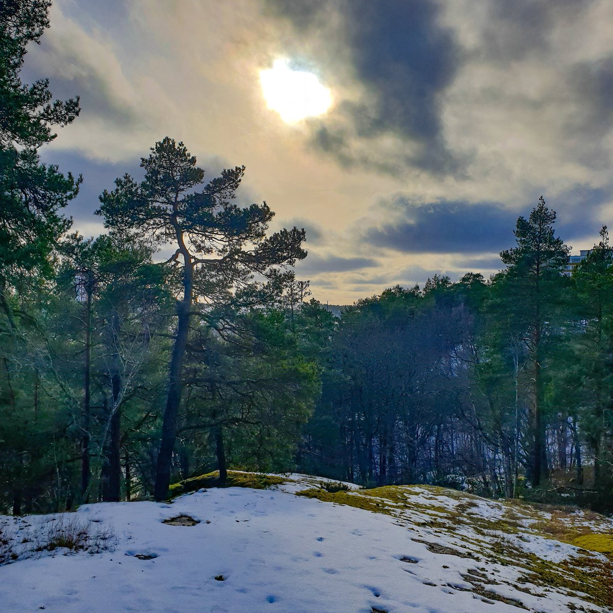 VastraSicklaon's tweet photo. Mörka moln över #Trolldalen mellan #Henriksdalsringen, #Finnboda &amp; #Svindersviken.

#nacka #skog #natur #henriksdal #visitstockholm #visitsweden https://t.co/s9Qi3YojSq