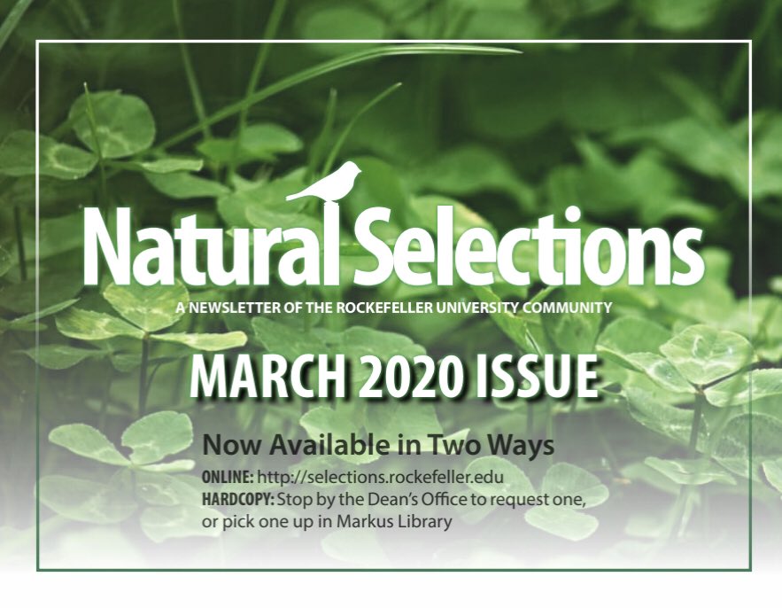 NatSelections's tweet image. Our March issue is available now! Check out #SaintPatricksDay activities in NYC, the benefits plant-based foods, a Culture Corner on The Lost City of Z and The Lighthouse, music events from #NaturalExpressions, and the New York Rhymes poetry column

PDF: selections.rockefeller.edu/wp-content/upl…
