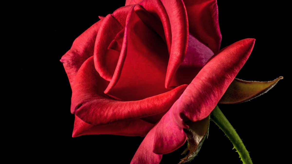 ResInnBaltimore's tweet photo. Find out if #loveisintheair at The #BachelorLiveOnStage at @ModellLyric, 3/18. https://t.co/dz26MJuy1U https://t.co/gX9vHVWVJy