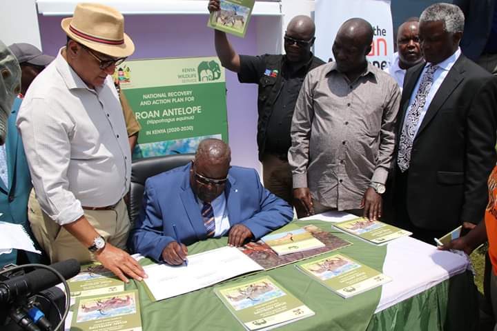 HomaBayCountyKE's tweet photo. @GovernorAwiti with @tunajibu during the launch of the National Recovery & Action plan for restoration of the endangered Roan Antelope to a population of 50 by 2023. @kwskenya @Min_TourismKE
#SustainingAllLife #WWD2020 #SaveTheRoan https://t.co/WAUmdTNc72