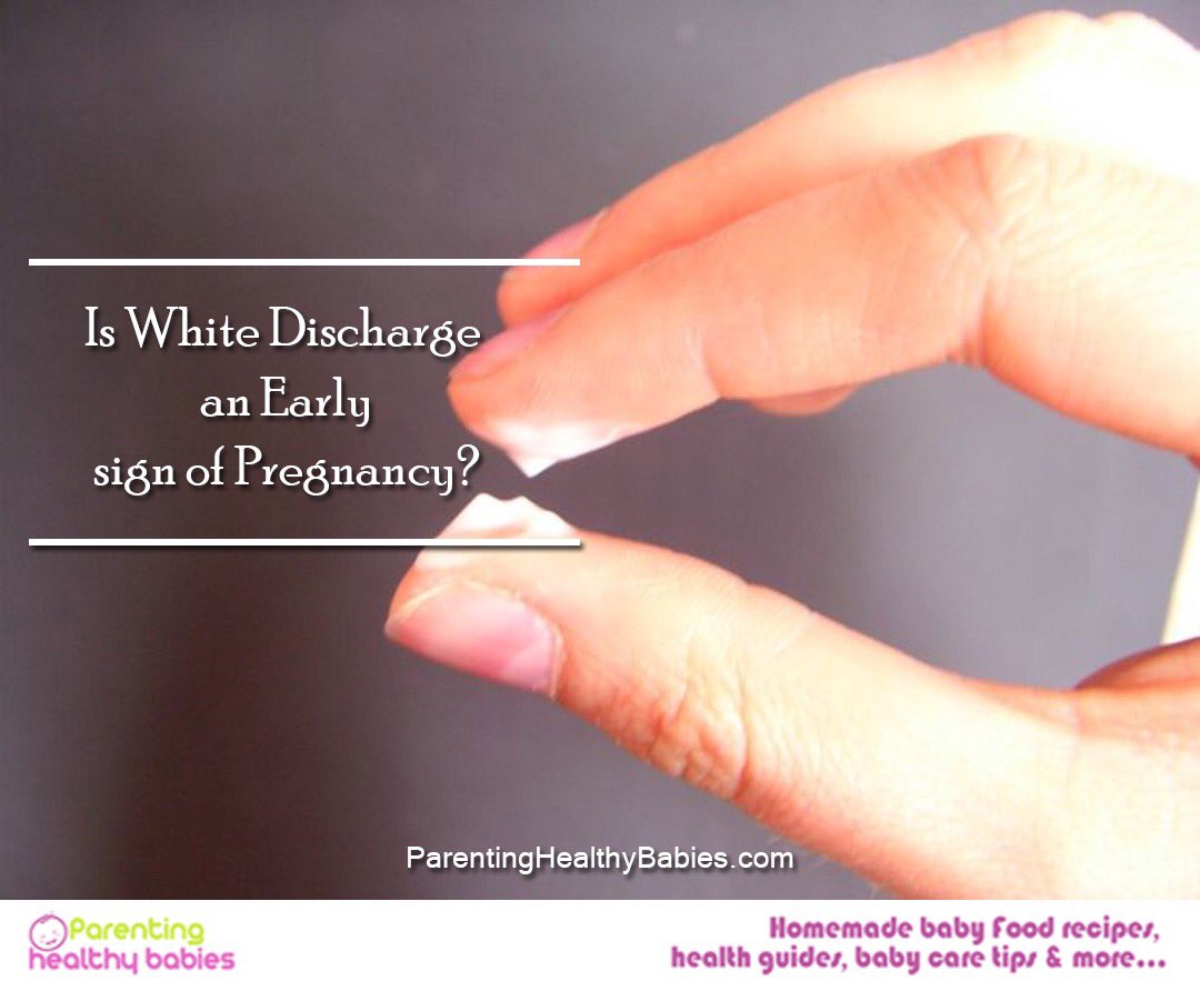 eRedbook - Milky white vaginal discharge (called leucorrhea) is nothing to  worry about: This early pregnancy discharge is normal and can be clear to  milky white, thin or thick.