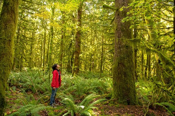 Cheakamus Centre tweet media