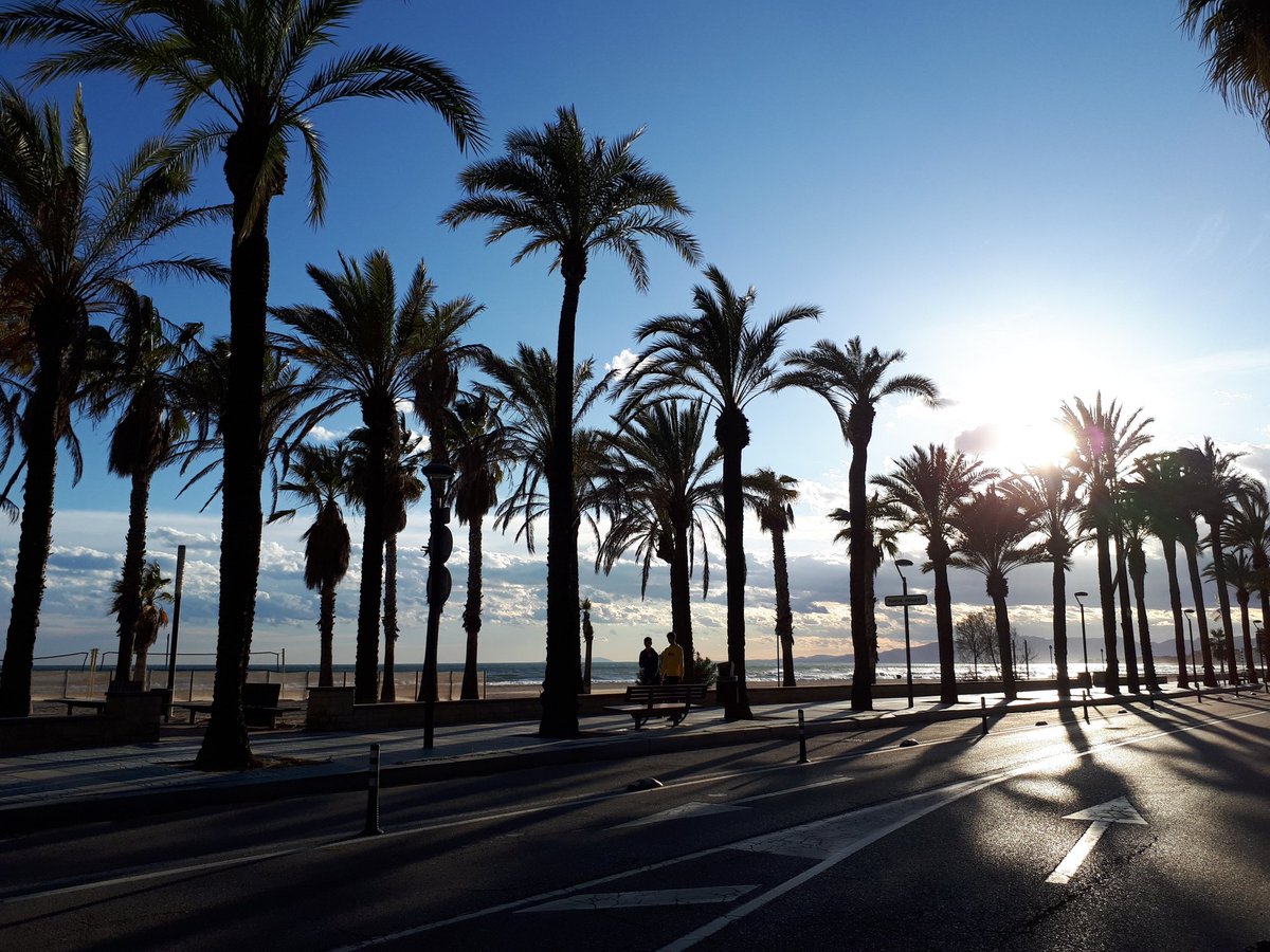 WINTER MED tweet media