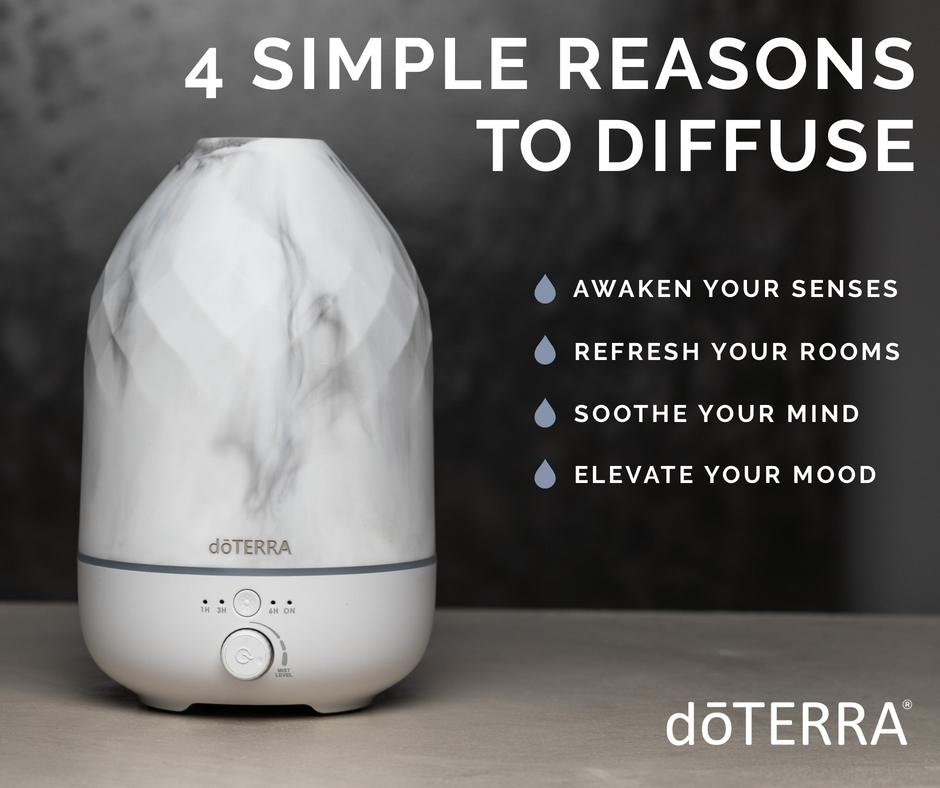 QEssential_Oils's tweet photo. The benefits of a diffuser are endless. You decide how you want to feel by choosing your single oils and/or blends. https://t.co/tv8E96yxEt