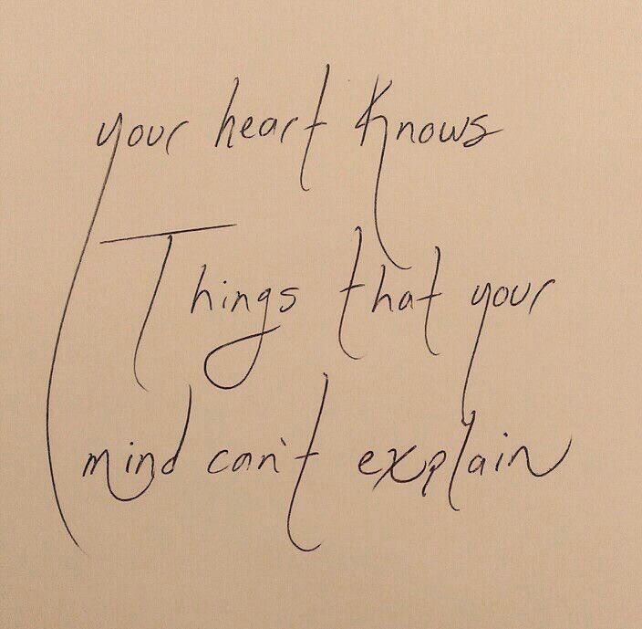 FerkeshX's tweet photo. https://t.co/6TstvLy1Q0