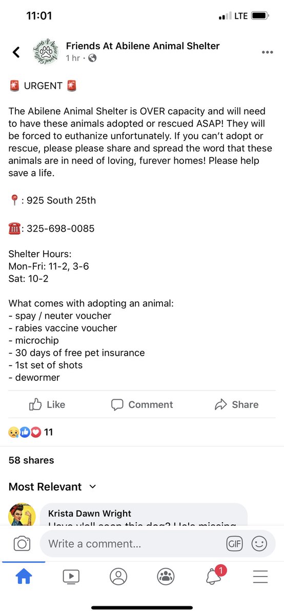 GO ADOPT AT THE ABILENE ANIMAL SHELTER!! They’re over capacity!!!