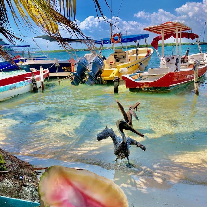 You can't beat mother nature's filter! 🌴🌺🍹🚤#IslaMujeres #islandlife #nofilter