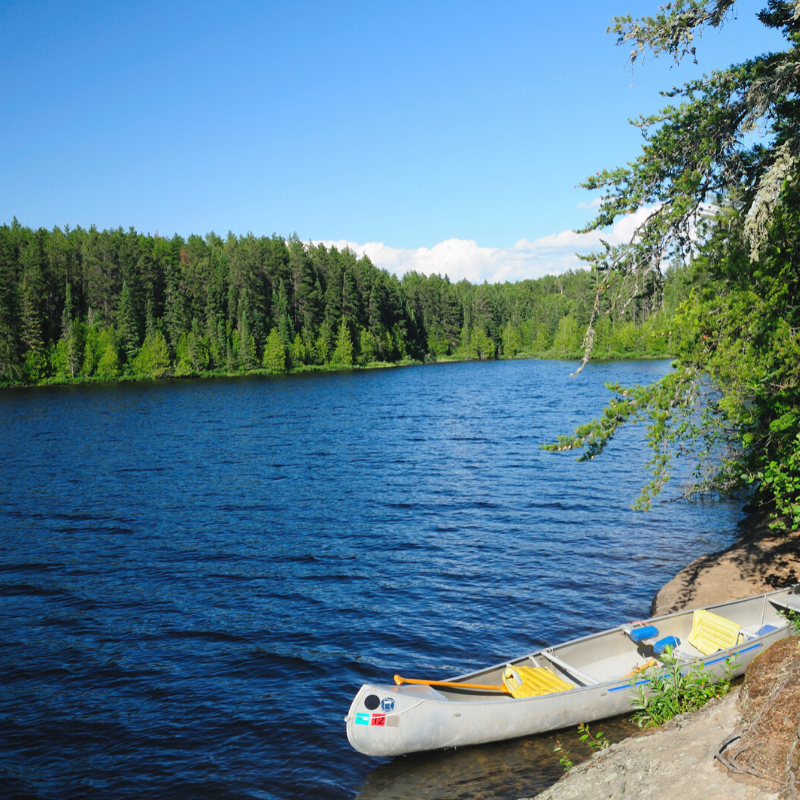 mncoachesbusing's tweet photo. With Minnesota's 11,842 lakes it hard to find someone that's never been on a #boat. Have you ever been #canoeing here in #Minnesota? 🛶 #FunFact https://t.co/J3yoFdse71