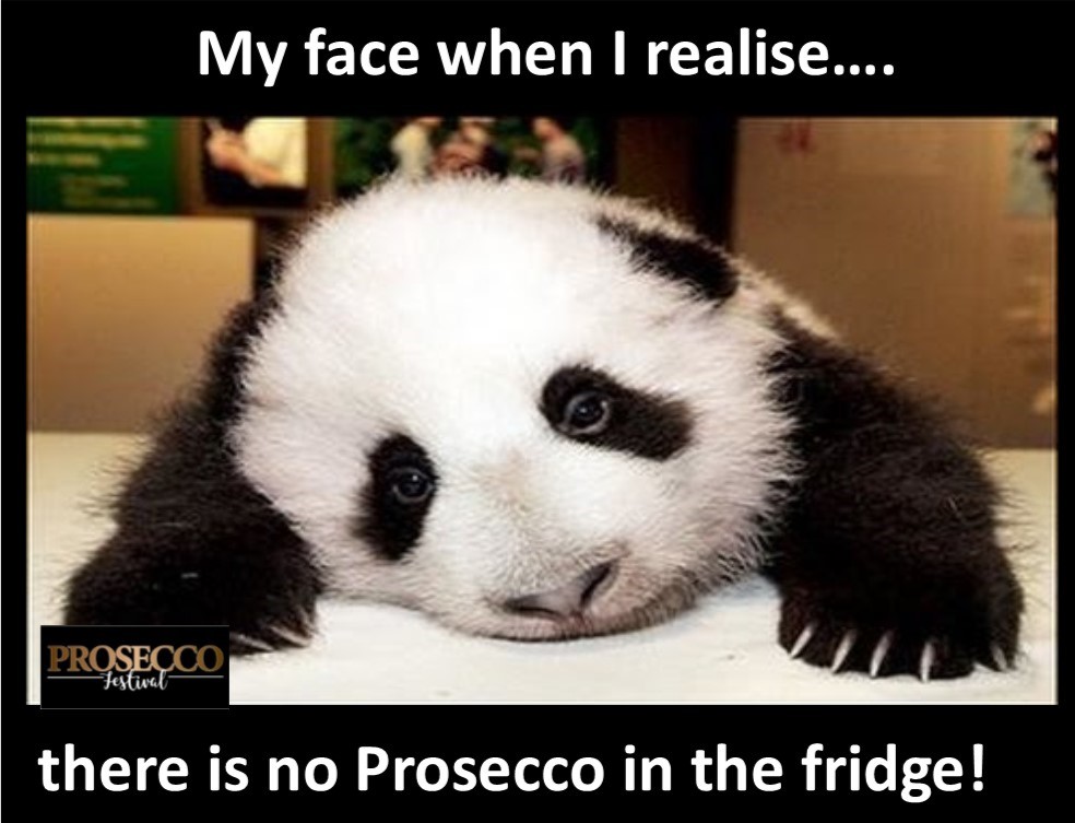 prosecco_fest's tweet photo. That Tuesday feeling #prosecco #noprosecco #emptyfridge #bubbles #fizz #rollonfriday https://t.co/uIdc3u63mP