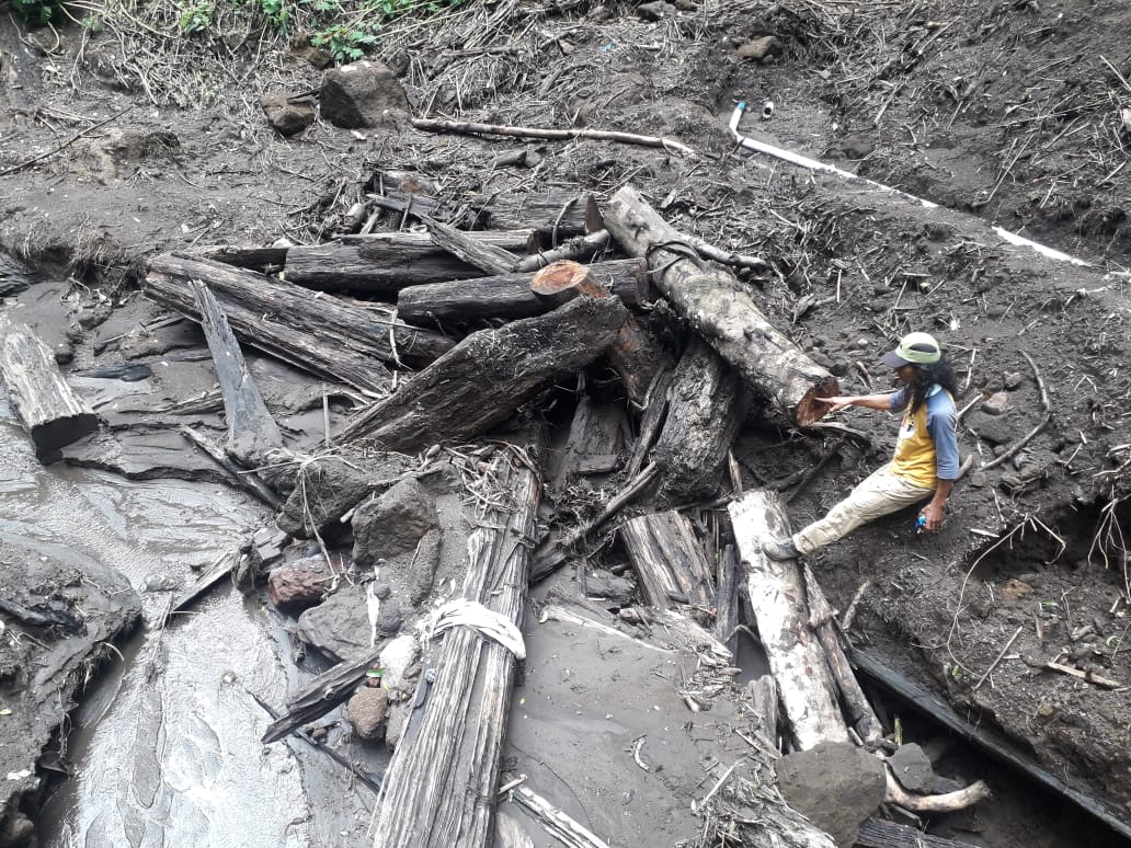 yanuarhp's tweet photo. @SitiNurbayaLHK mohon di cek bu,  hutan produksi (sebagai hulu sungai sempol) beralih fungsi menjadi pertanian koordinat 8°04'09"S 114°06'47" E , mengakibatkan banjir sempol ijen Bondowoso 29jan2020
Tolong kembalikan kepada fungsinya, tindak tegas pelanggarnya. Trmks https://t.co/wGstYXR6HK