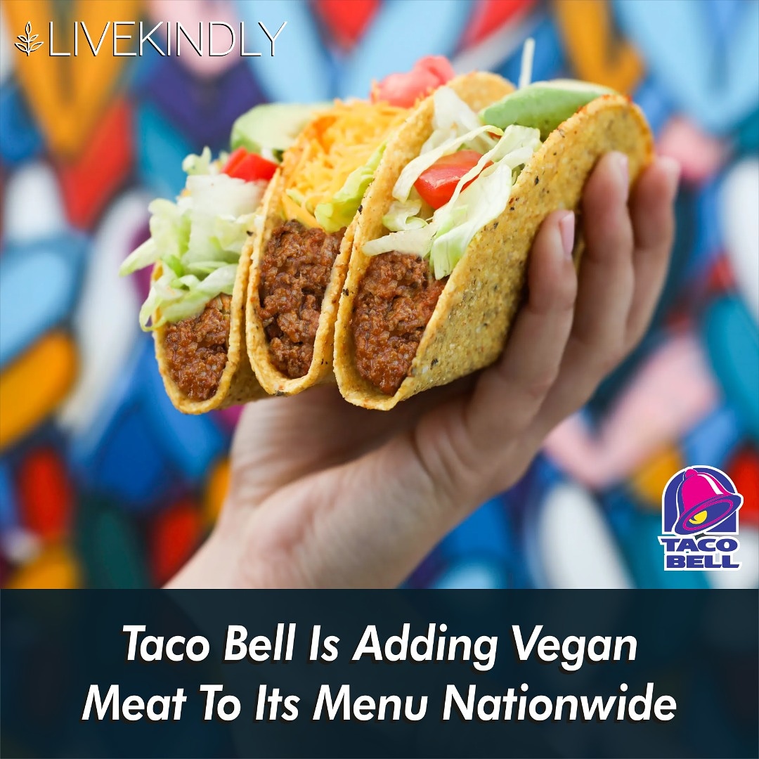 Article by <a href="/Livekindlyco/">LIVEKINDLY</a>

<a href="/TacoBell/">Taco Bell</a> announced it will add plant-based meat to its menu in the next year.

#Vegan #VeganFood #PlantBased #TacoBell #VeganFastFood #VeganTacos