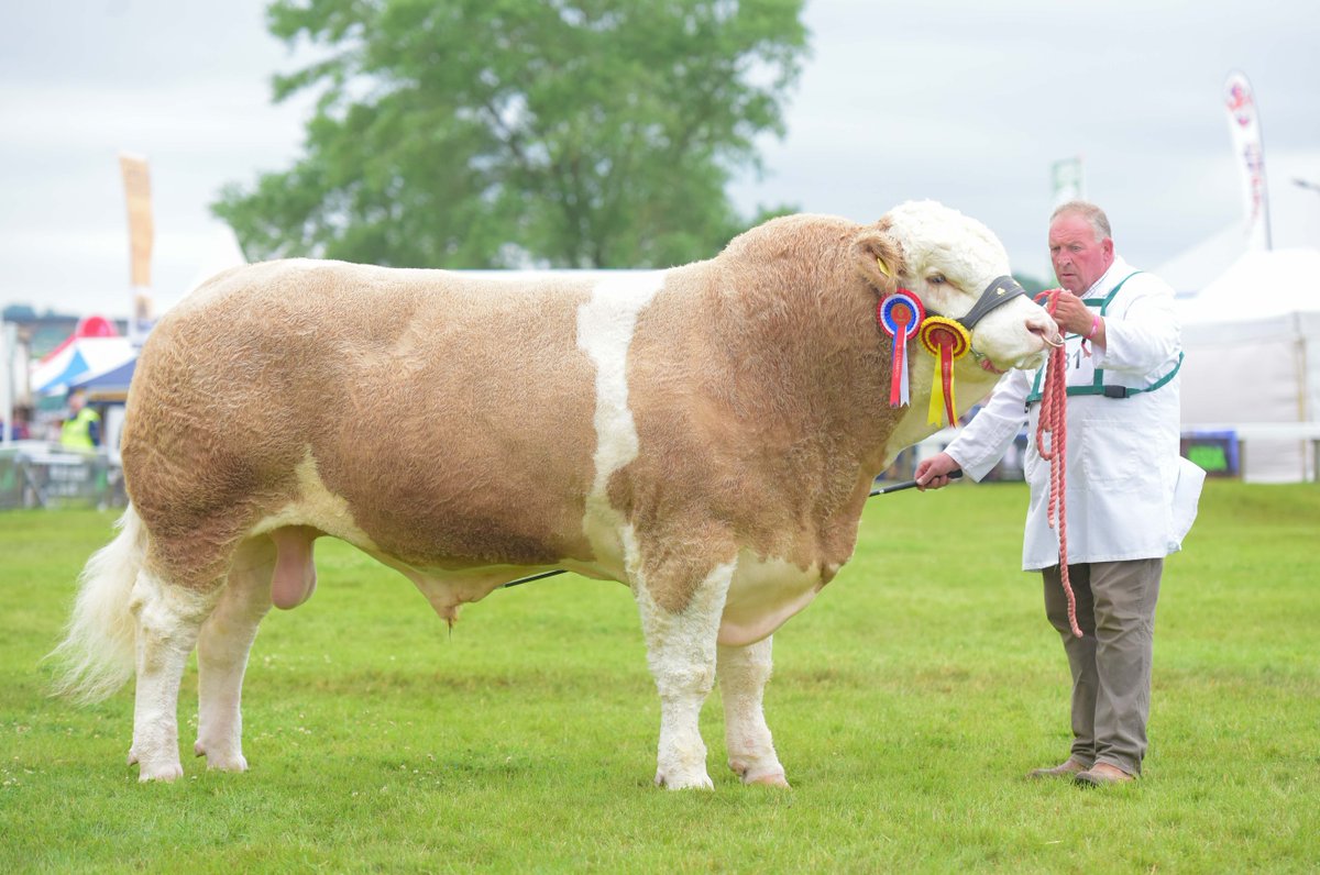 greatyorkshow's tweet photo. A list of #beef, #dairy &amp; #sheep #judges for this year's Great #Yorkshire Show (14-16 July) are now available to download from our website - https://t.co/nSf96RuP3B #GYS20 https://t.co/n6pOfnEYo2